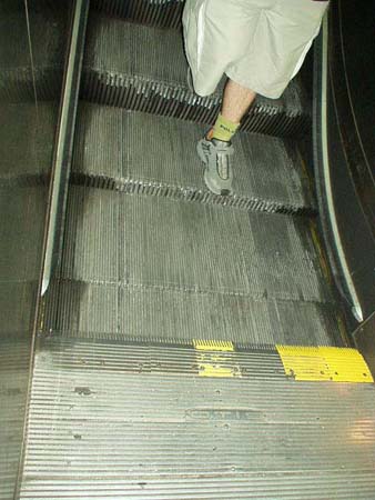 P7130004