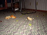 dsc02717