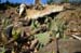 P1020892